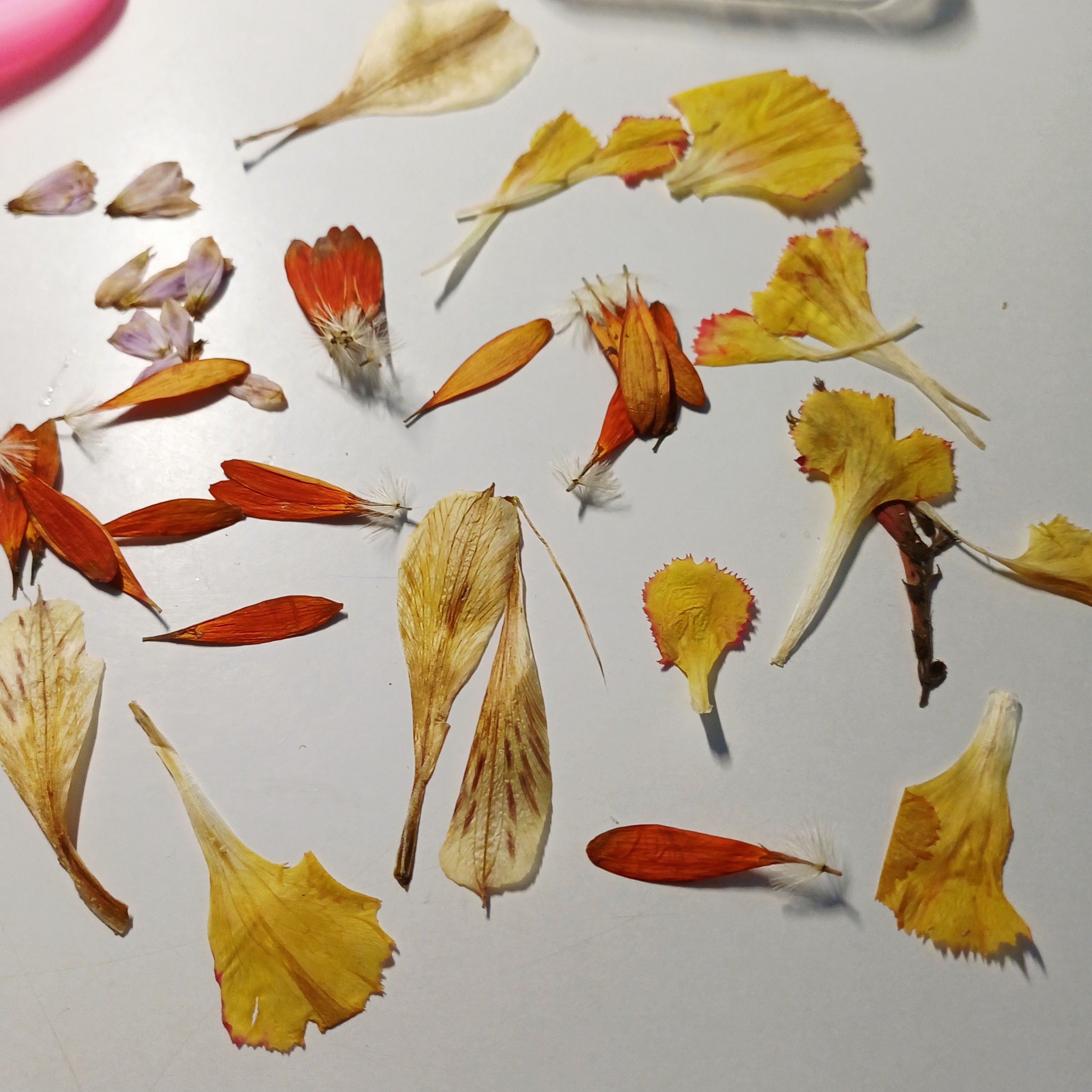 Boucles d’oreilles Personnalisées – Fleurs de Souvenir