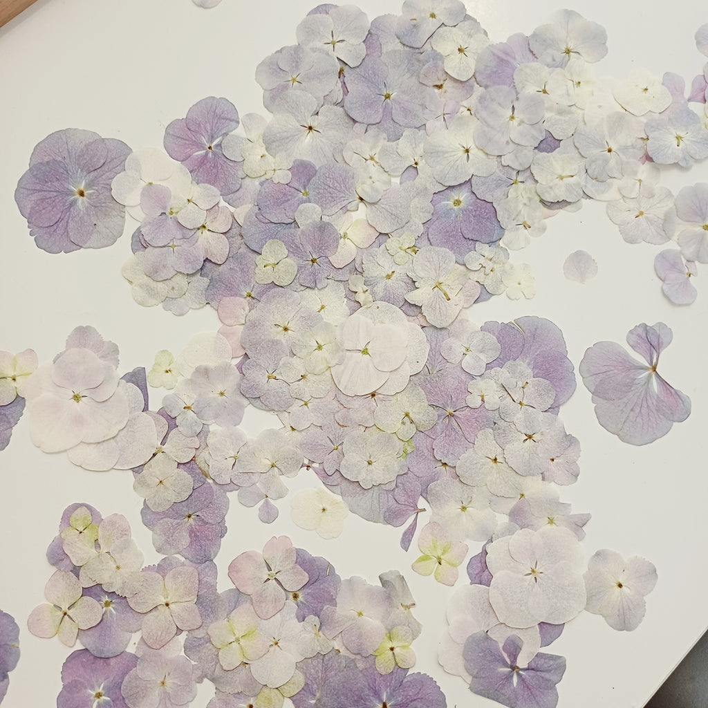 Parure Hortensia Bleu - Gratitude